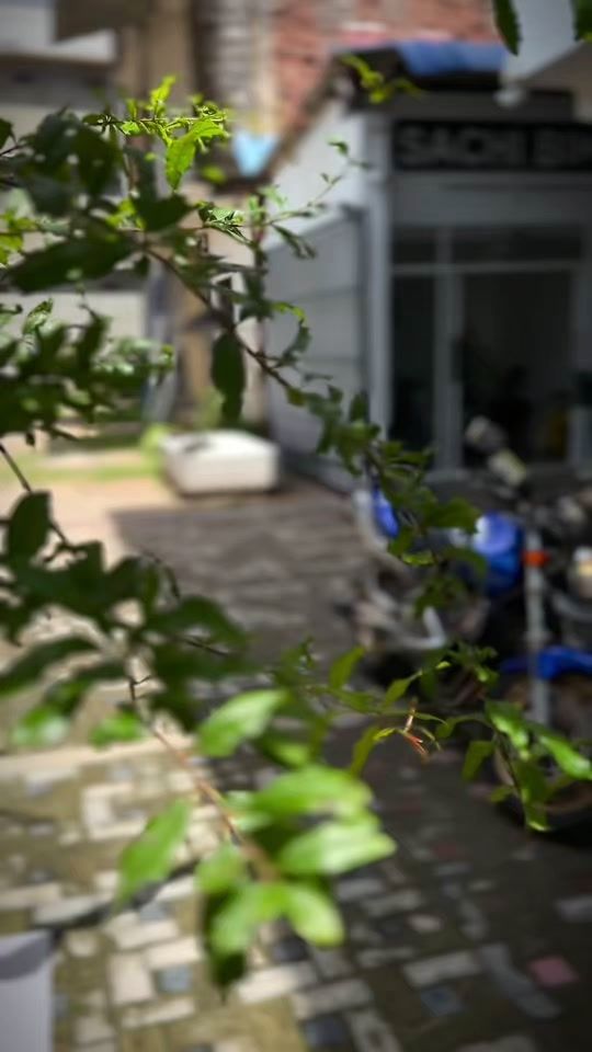 TikTok video thumbnail by sachirupramuditha99