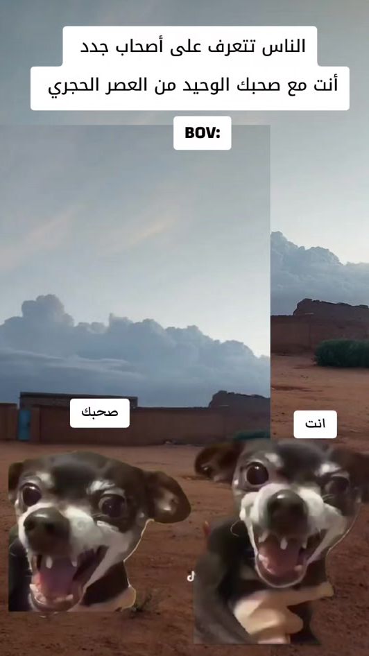 TikTok video thumbnail by prhomymax