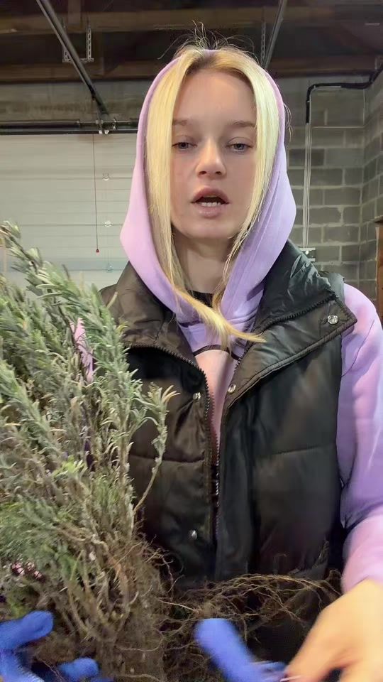 TikTok video thumbnail by katyarose52