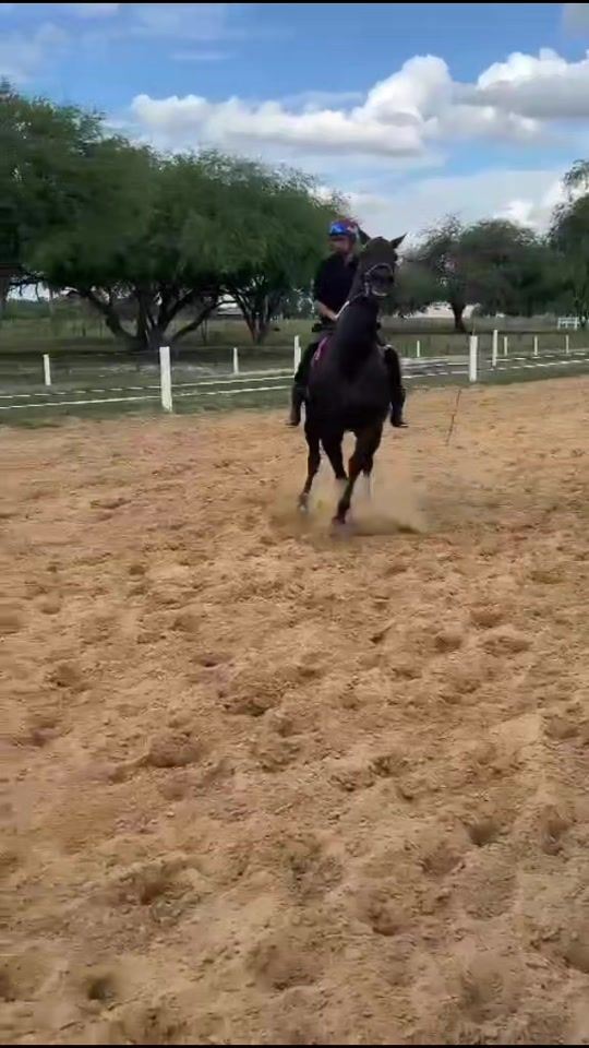 TikTok video thumbnail by nestormontiel439