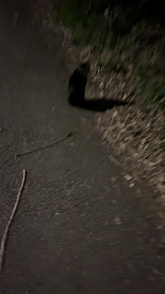 TikTok video thumbnail by r1uu.2