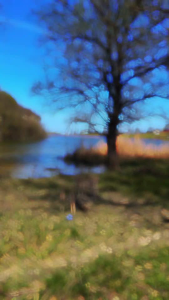 TikTok video thumbnail by meetingpart