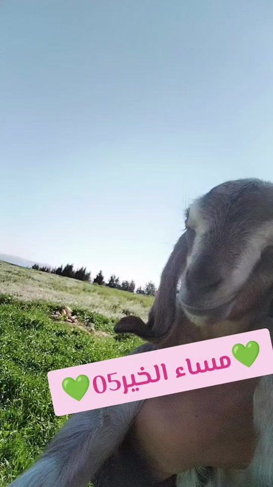 TikTok video thumbnail by chawia_05_05