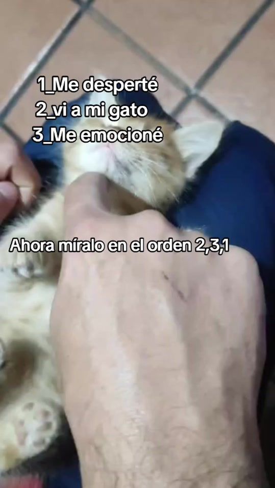TikTok video thumbnail by leo_lopez736