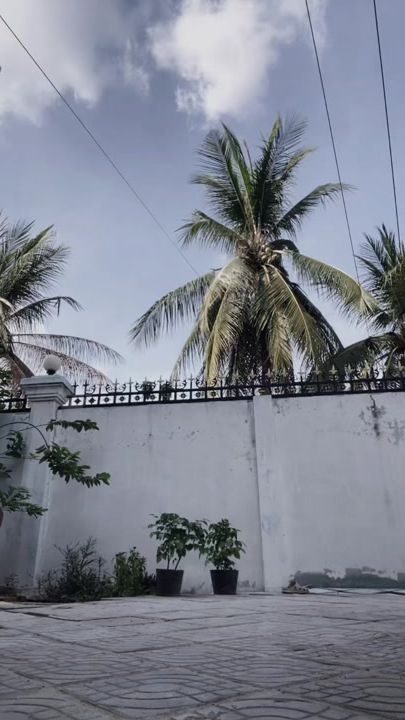 TikTok video thumbnail by na.kapito