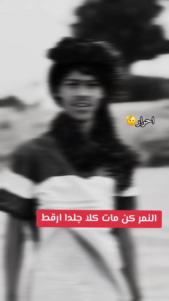 TikTok video thumbnail by dbls91
