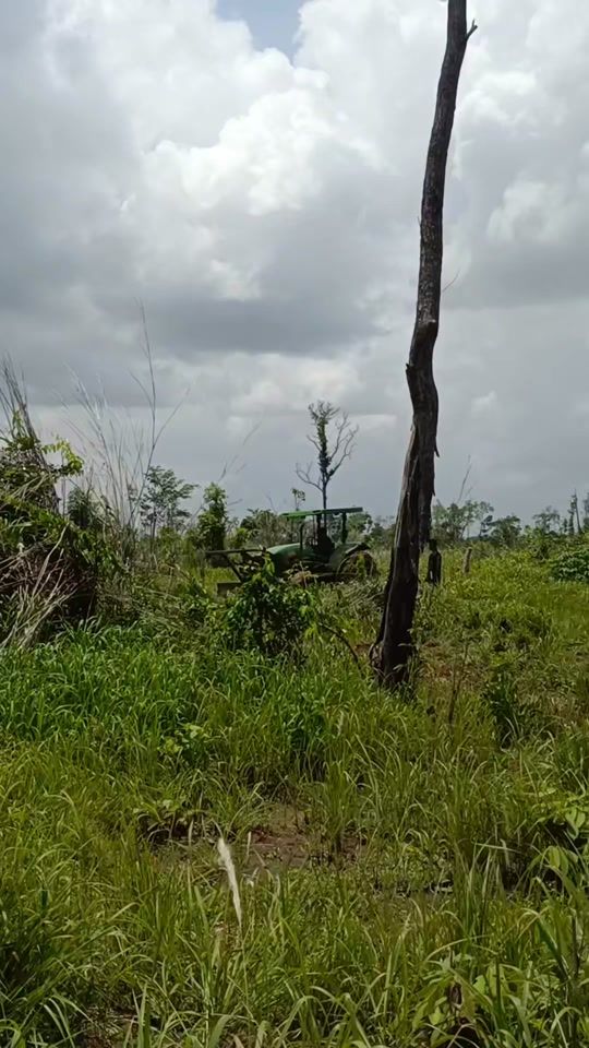 TikTok video thumbnail by vit.seab