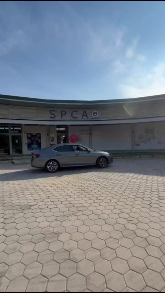 TikTok video thumbnail by spcasingapore