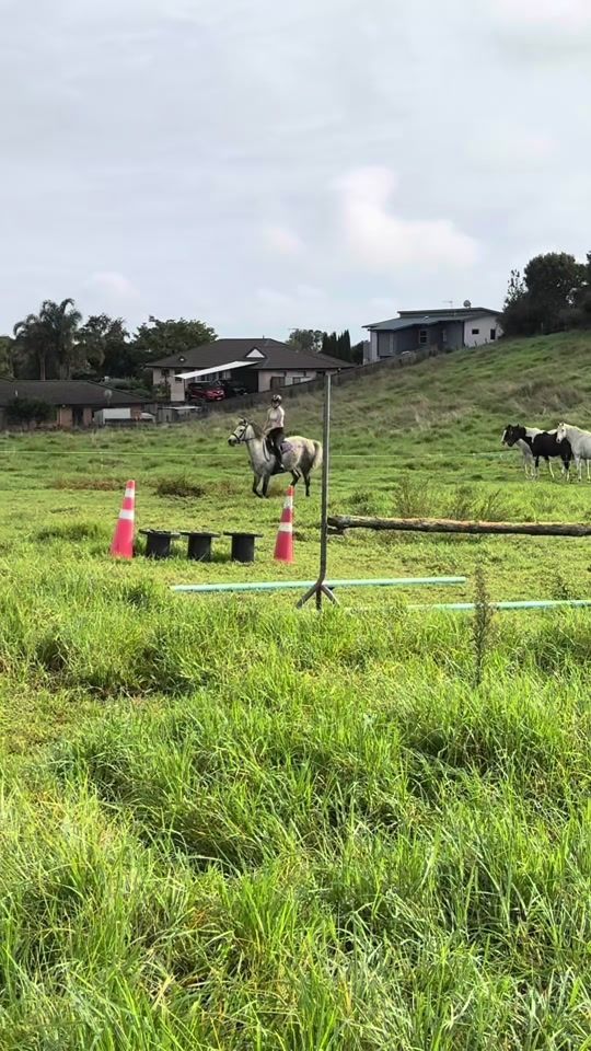 TikTok video thumbnail by gg._.equestrian