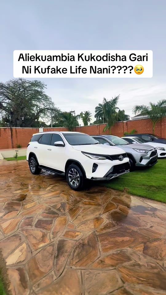 TikTok video thumbnail by frankies_safari