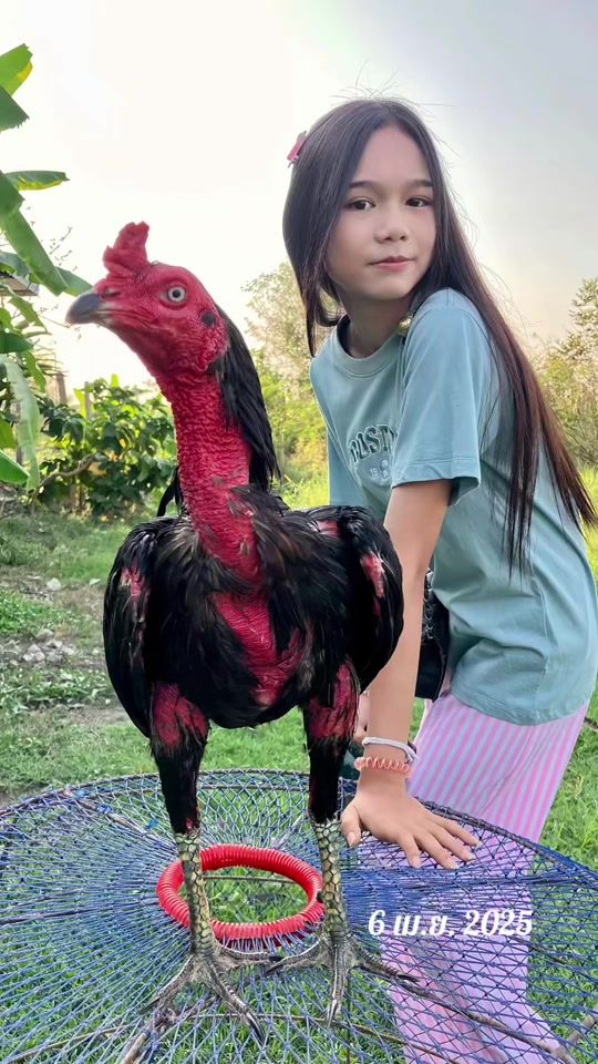TikTok video thumbnail by palmmy2552