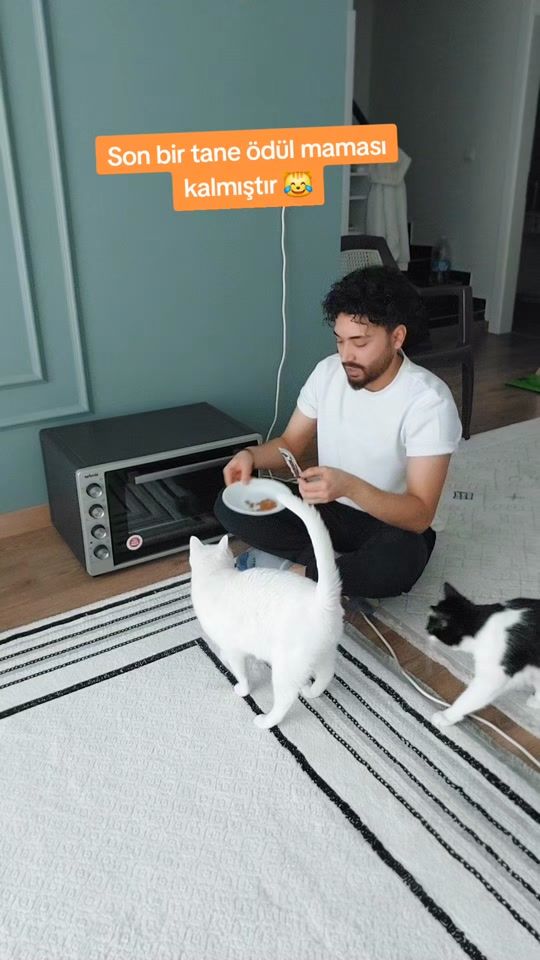 TikTok video thumbnail by hazarkutsay