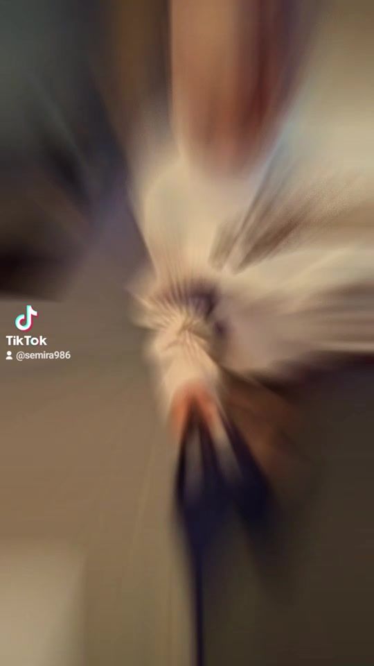 TikTok video thumbnail by semira986