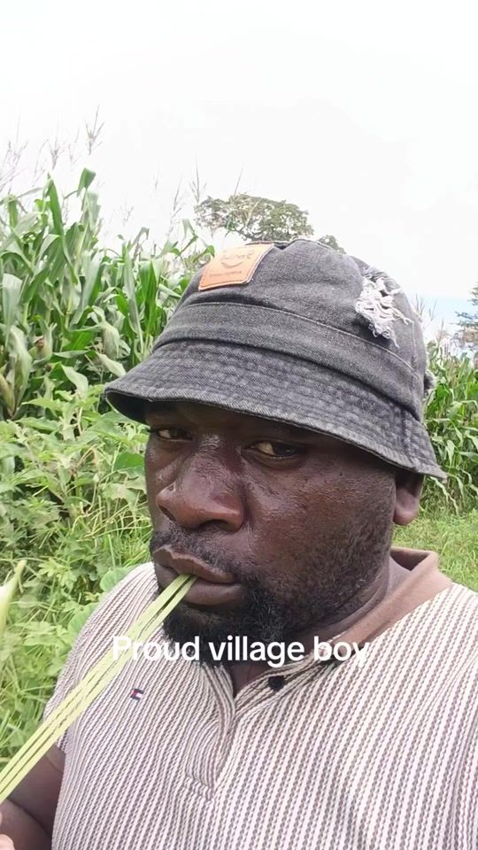 TikTok video thumbnail by festus8469