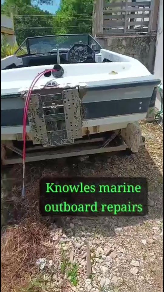 TikTok video thumbnail by knowles.marine