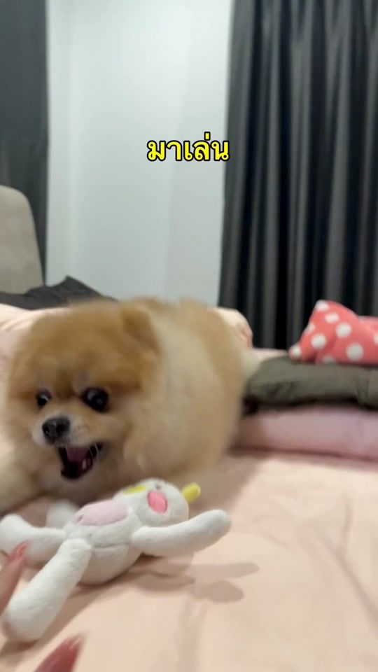 TikTok video thumbnail by ploybabes