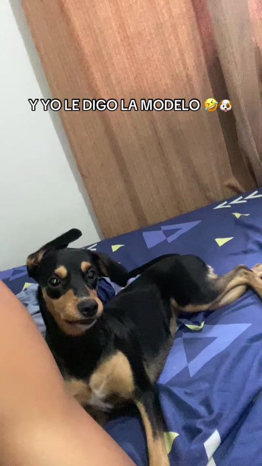 TikTok video thumbnail by _biggel