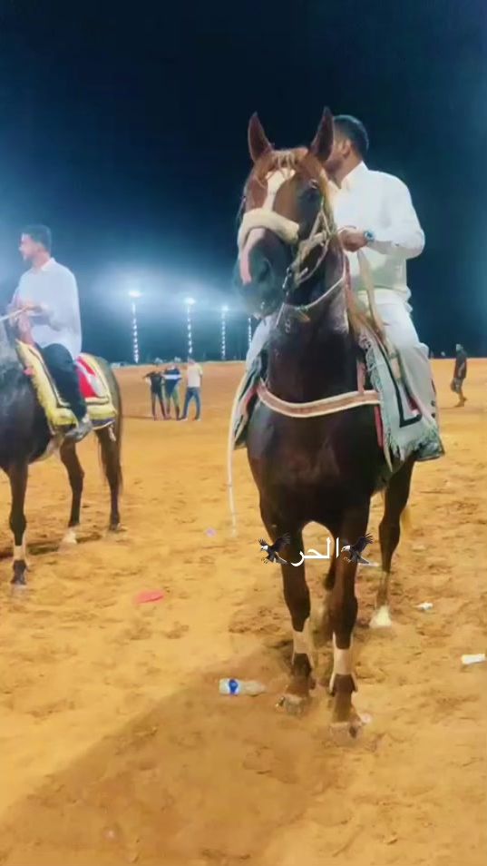 TikTok video thumbnail by user2067317506331
