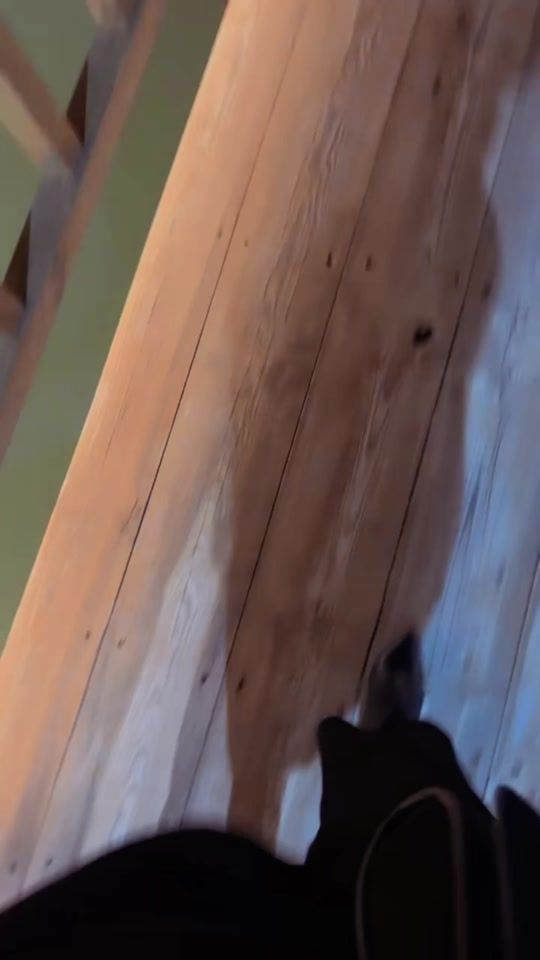 TikTok video thumbnail by bela_myrte