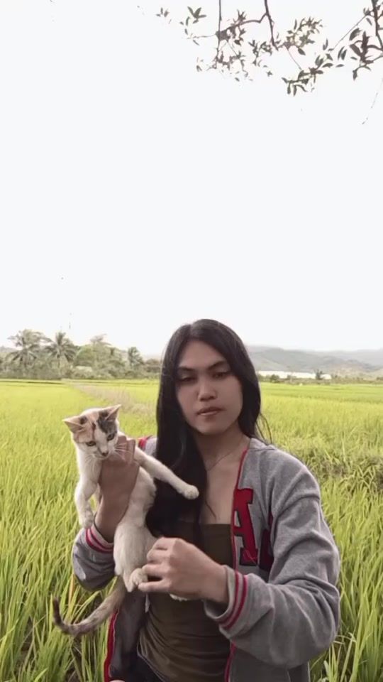 TikTok video thumbnail by stephjoyze