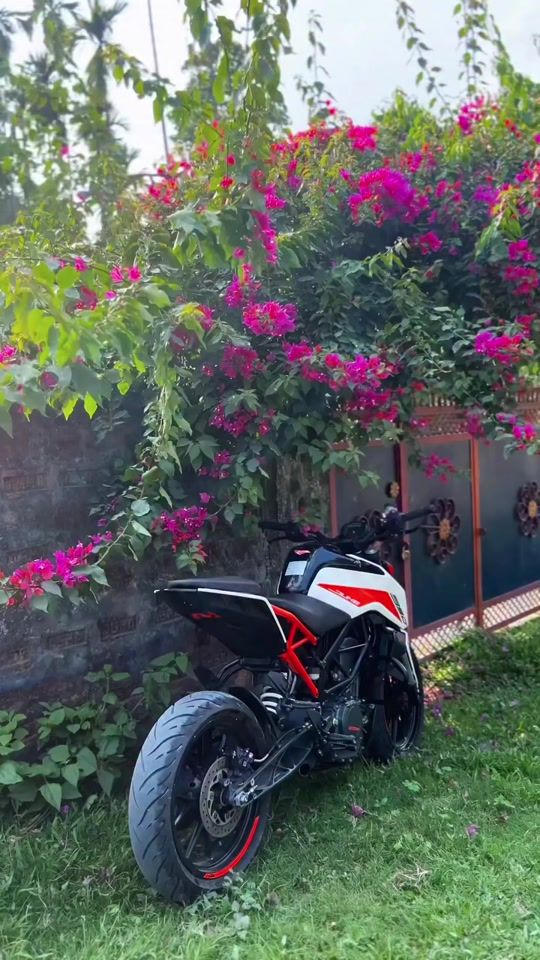TikTok video thumbnail by a.rahib.vai