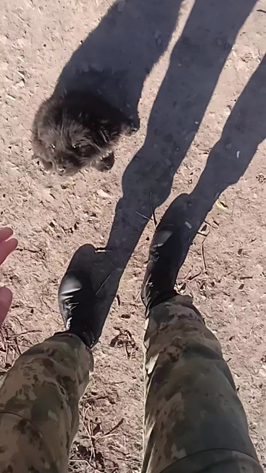 TikTok video thumbnail by gizlibiri_0002
