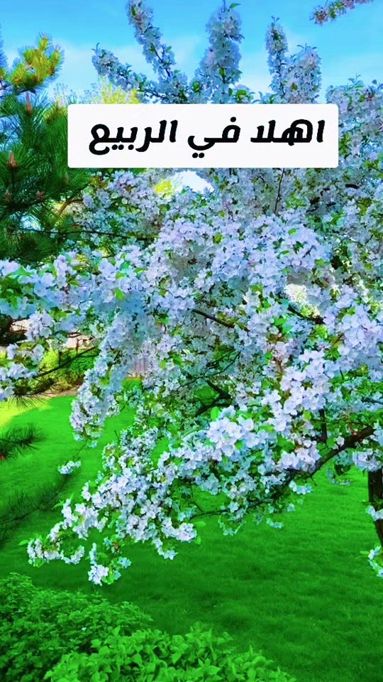 TikTok video thumbnail by 00a.om.mhmd