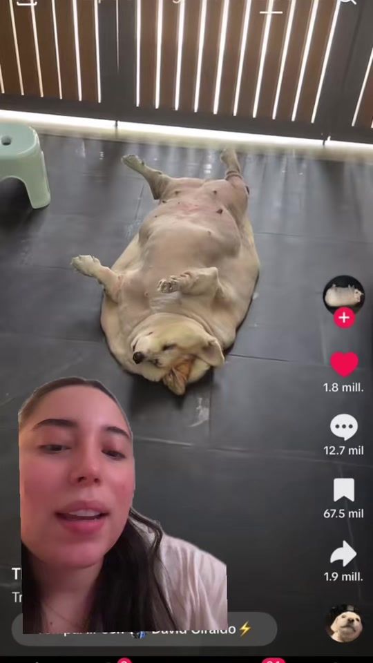 TikTok video thumbnail by dani_saanchezz