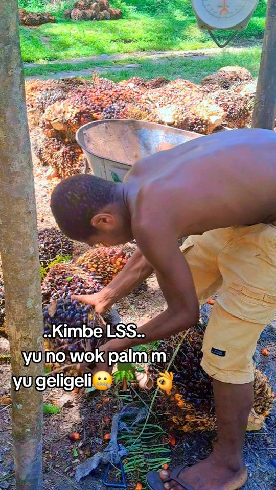 TikTok video thumbnail by samuelomin