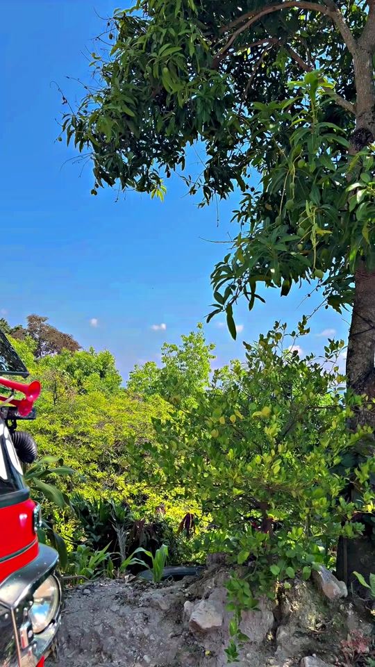 TikTok video thumbnail by eldercito153