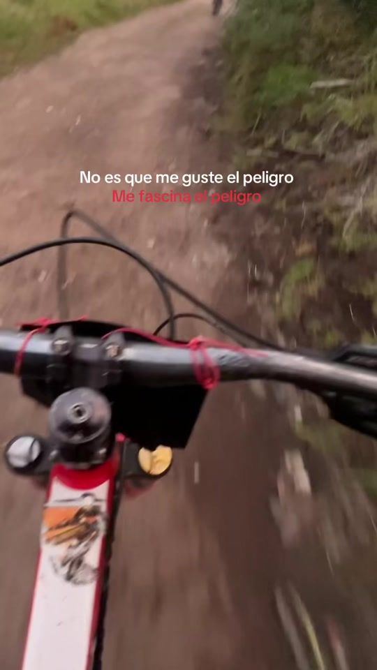 TikTok video thumbnail by xstebxn._