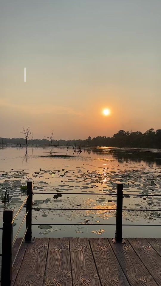 TikTok video thumbnail by koymavid