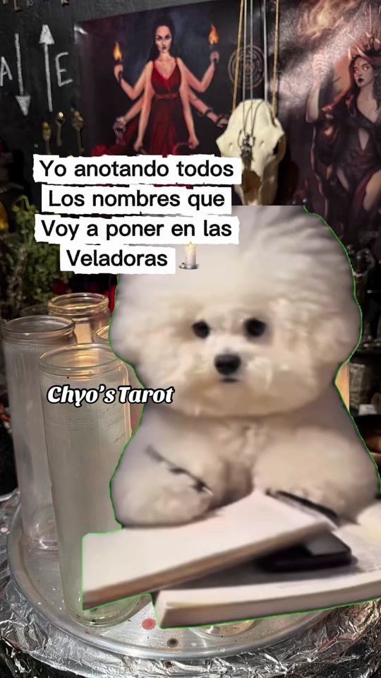 TikTok video thumbnail by chyos_tarot