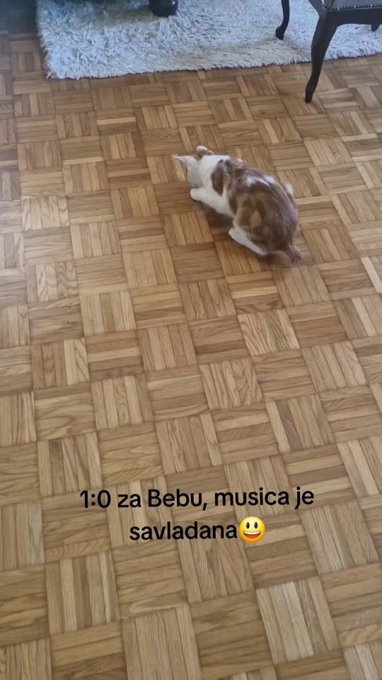 TikTok video thumbnail by sandra21081979