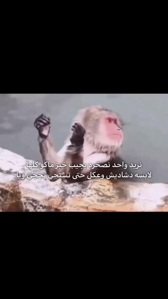 TikTok video thumbnail by _8lfb