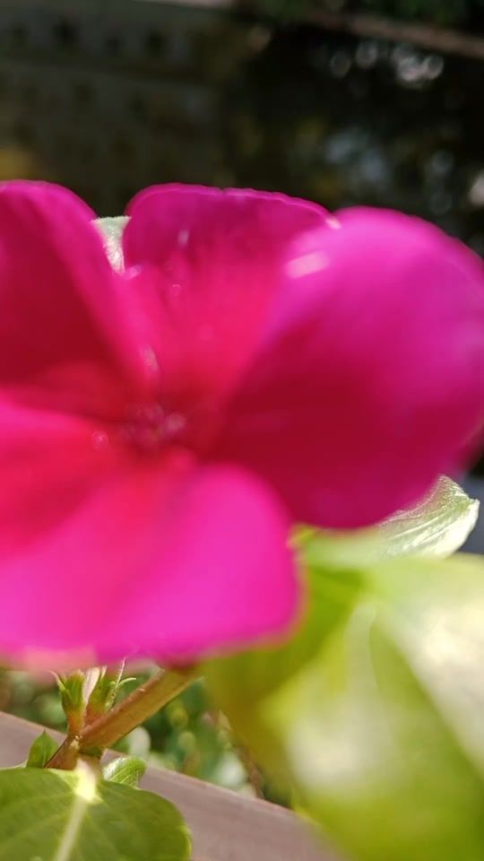 TikTok video thumbnail by rumpadey519