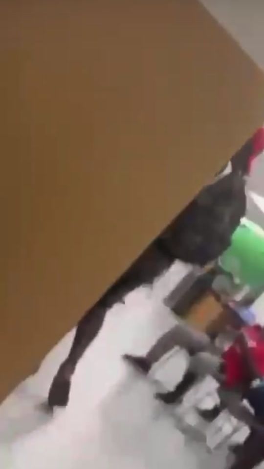 TikTok video thumbnail by _hymc