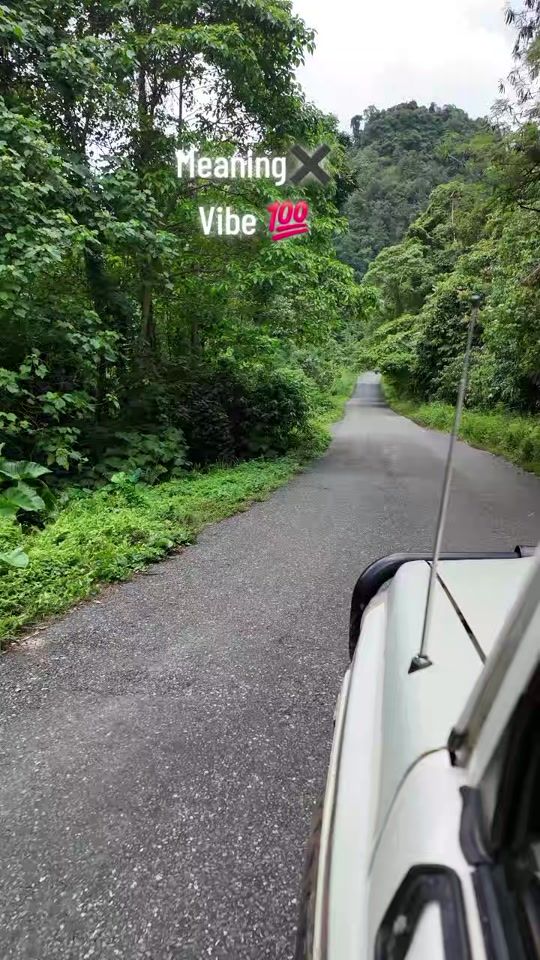 TikTok video thumbnail by gentledu7