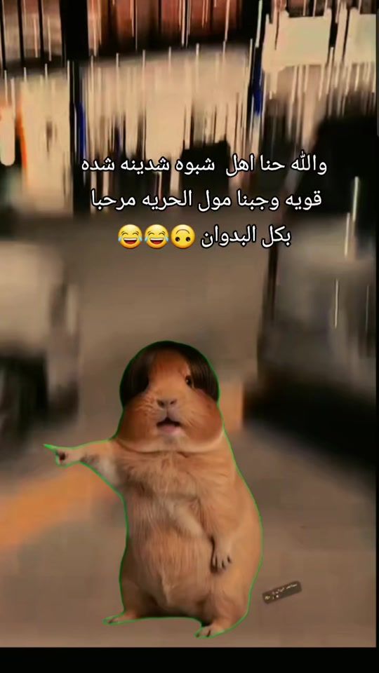 TikTok video thumbnail by syssu01