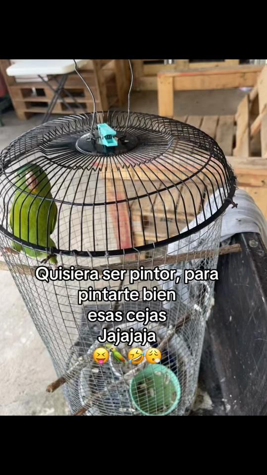 TikTok video thumbnail by jesus_vj02