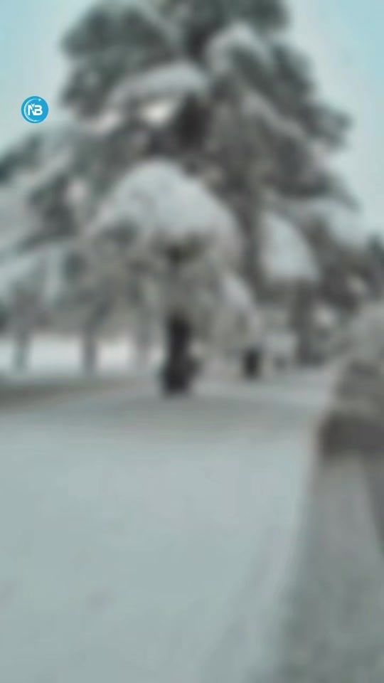 TikTok video thumbnail by nb.tours.events