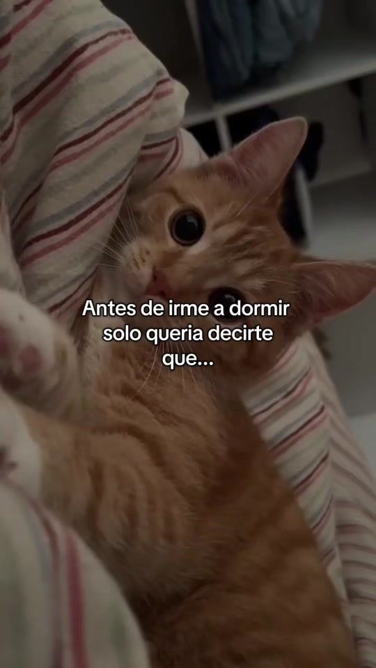 TikTok video thumbnail by carmen_ata