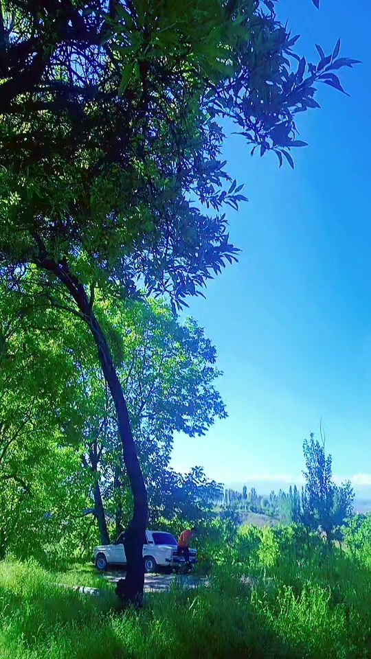 TikTok video thumbnail by use7797s