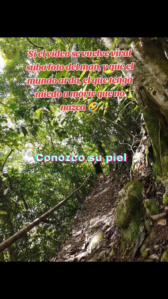 TikTok video thumbnail by adelbs05