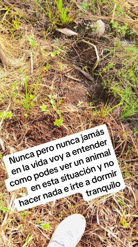 TikTok video thumbnail by discas_posadas