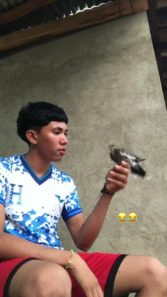 TikTok video thumbnail by edras.herrera504