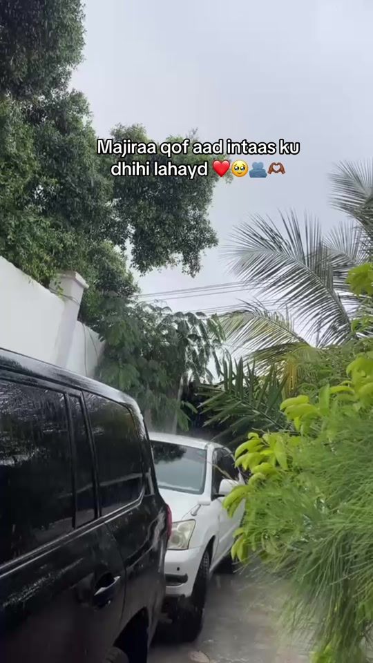TikTok video thumbnail by coldoon.85