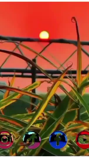 TikTok video thumbnail by s.a.jan.1.2.3
