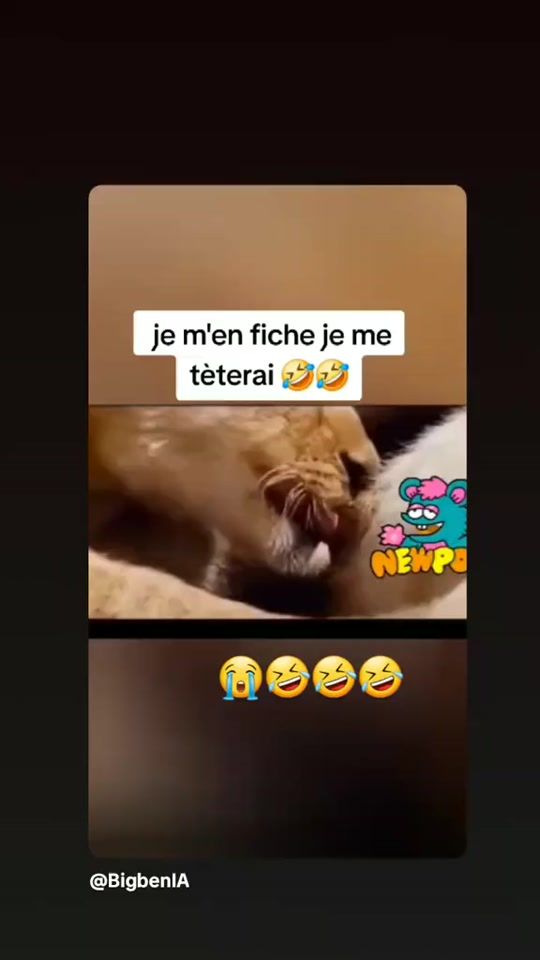 TikTok video thumbnail by lissa_luz