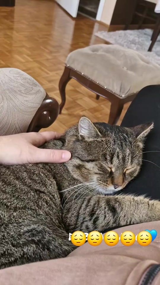 TikTok video thumbnail by sandra21081979